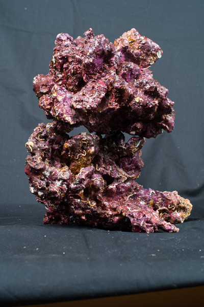 Real Reef Rock