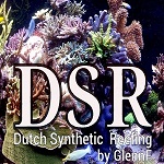 DSR