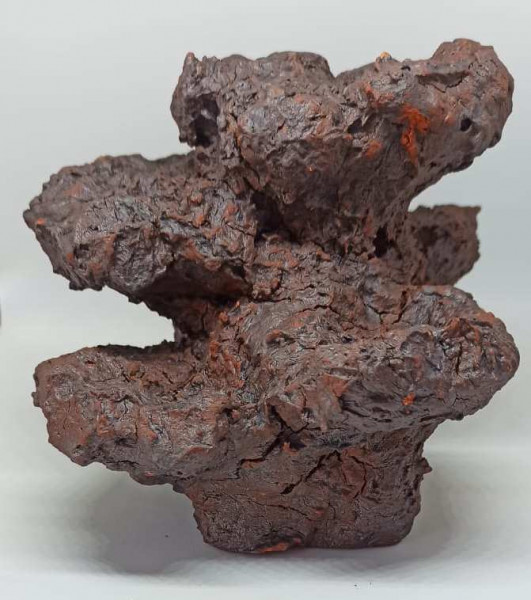 Kleine Riffsäule (Bio-active rock)