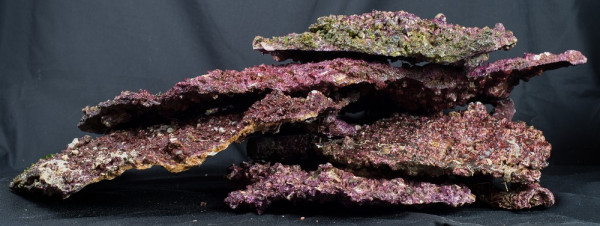 Real Reef Rock Shelf Rock 25 kg Box