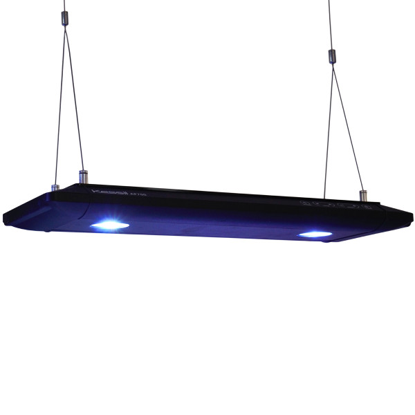 Kessil® LED AP700